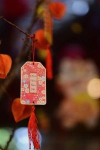 xì tố di động 8Day